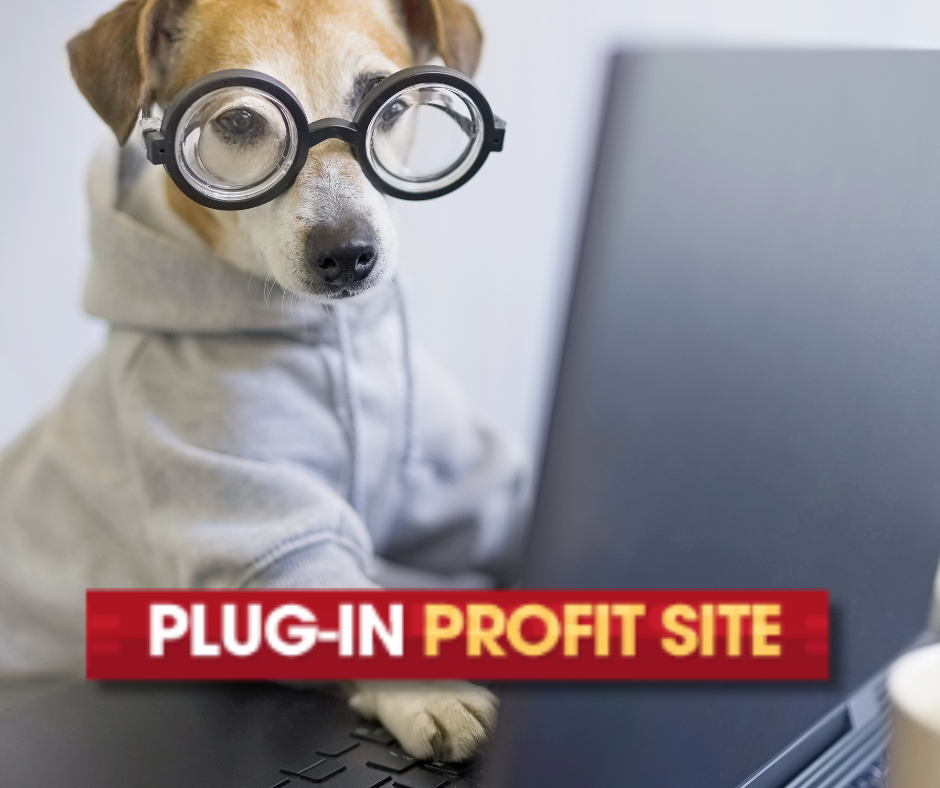 Jr Estrada - Pluginrprofitsite
