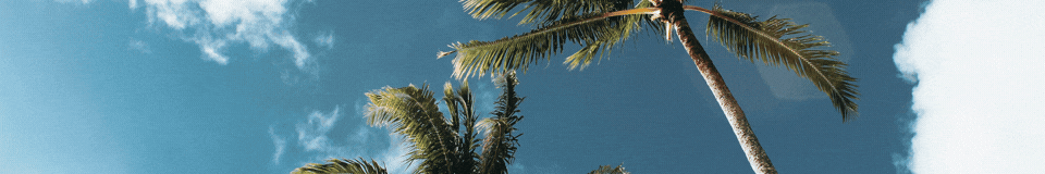 Six Figure Automation